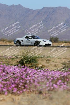 media/Jan-29-2023-PCA San Diego (Sun) [[aa0301ccc2]]/Yellow Group/Session 1 (Turn 15 Bloom)/